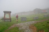Da Parre salita al Monte Vaccaro e al Monte Secco il 27 giugno 2009 - FOTOGALLERY